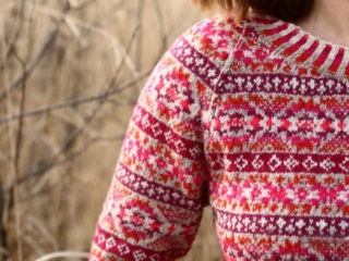 Jumper Fuchsia close up